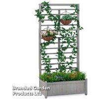 Grey Wooden Planter With Climbing Trellis