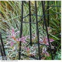 Garden Metal Tower Trellis - Weather-Resistant Outdoor Decor