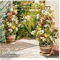 Wooden Barrel Effect Tower Pot & Trellis For Climbing Plants - 1.24M Tall