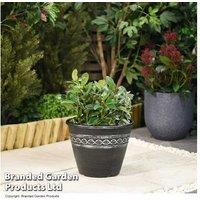 Roman-Greco Outdoor Planter - Weatherproof, Lightweight, 27.5Cm