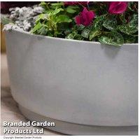 Caesar Concrete Effect Bowl Planter - Modern, Weather-Resistant Garden Pot