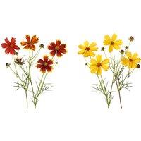 Terrific Tickseed Coreopsis Collection