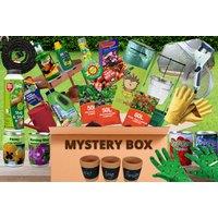 Garden Mystery Box - Small Or Medium