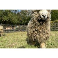 Elsham Hall - Gardens And Country Park Access For Adults Or Family