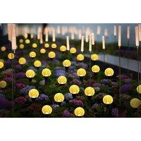 20 Led Solar String Lights - Waterproof Outdoor