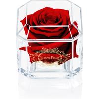 Eternal Petals Real Rose - Long-Lasting Indoor Bloom
