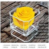 Eternal Petals Yellow Rose With Necklace - Long-Lasting Gift