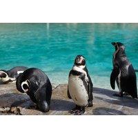 3* Or 4* London Hotel Stay: 1-2 Nights & Choice Of 30 Attractions, Tours Or Shows