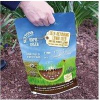 Rapid Green Self-Repairing Lawn Seed