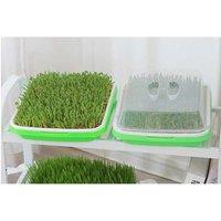 5 Pack Seed Sprouter Trays For Microgreens - Soil-Free, Eco-Friendly Design