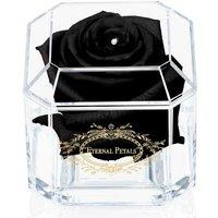 Eternal Petals Black Real Rose - Long-Lasting Indoor Decor
