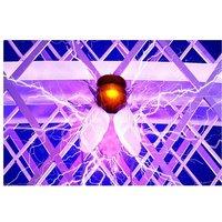 Electric Mosquito Swatter - Foldable Racket With Trap Lamp!