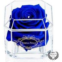 Eternal Petals Real Rose - Long-Lasting Gift, 2 Colours