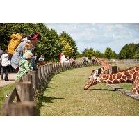 Banham Zoo