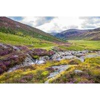 2-3 Nights Dog-Friendly Shepherd'S Hut Escape In Angus, Scotland For 2 Adults - Summer Holiday Availability!