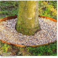 Circular Metal Border Edging 60 Or 90Cm