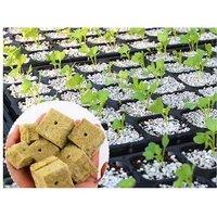 42Pcs Soilless Cultivation Substrate Seedling Grow Cubes