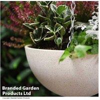 Medium Stone Effect Hanging Basket - All-Weather, 25cm, Easy Care