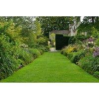 Lawn Treatment And Weed/Moss Control - Up To 400-Sq Metre - Birmingham