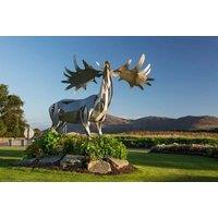 County Down Break For 2 at The Lough & Quay With Late Checkout!