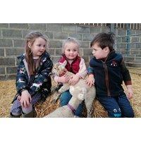 Animal Feeding Experience - Candybank Farm, Biggar - Choose From Lambs Or Goats - Valid During Summer Holidays!