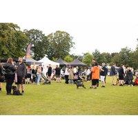 Entry Ticket To Trotters Dog Festival - Competitions, Entertainment, Local Food Vendors & More - Liverpool