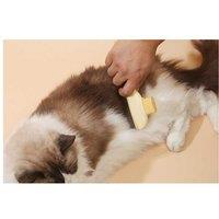 2Pcs Pet Hair Removal Comb With Long And Short Teeth