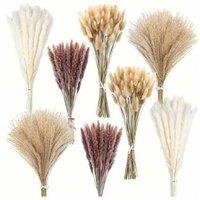 Pampas Grass For Bohemian Decor