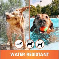 Cats & Dogs Anti Flea And Tick Collars