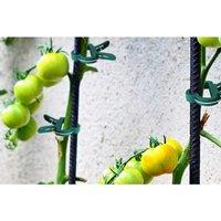 20Pcs Heavy-Duty Plant Support Clips - Durable Pp Plastic Vine & Stem Fasteners For Climbing Plants (2 Sizes)