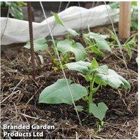 2 X 100L Strulch Organic Garden Mulch - Weed Control & Moisture Retention