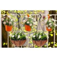 10Pcs Heavy-Duty Flower Pot Hanging Basket Hooks With 3-Prong Support - Fits 18Cm Pots, 1.5Kg Load Capacity