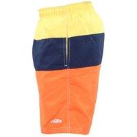 Mens Striped Swim Shorts