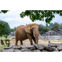 4* Delta By Marriott Colchester Family City Break With Zoo Entry, Breakfast & Spa Access - Colchester, Essex