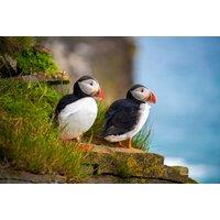 Reykjavik City Break - Award Winning 3* Central Hotel with Breakfast & Return Flights