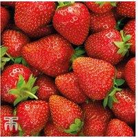 Mid-Season Strawberry Hanging Basket Plants - Compact, High-Yield Variety
