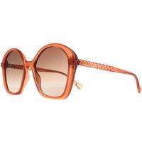Unisex Grey Women'S Chloe Sunglasses - 17 Styles!