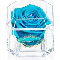 Eternal Petals Indoor Rose - Real, Low Maintenance, Long-Lasting Foliage