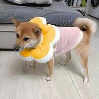Cute Flower Cat Cone Collar