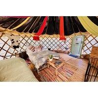Mongolian Yurt Stay For 2 - 2 Or 3 Nights - Pet Friendly - Award-Winning Worcester Glamping - Summer Holiday Availability!