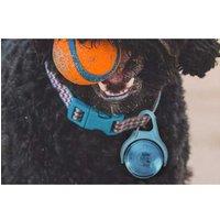 Dog Collar Light Rechargeable Led With 4 Modes For Night Walking