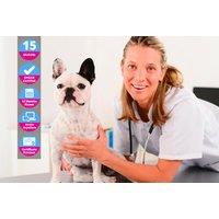 Online Accredited Veterinary Assistant Course