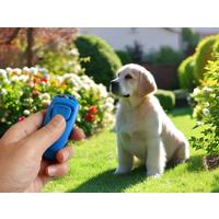 Dog Whistles - 3 Colours