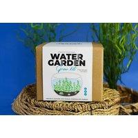 Diy Mini Water Garden Kit - Gift Republic