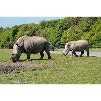 Knowsley Safari Tickets For 2, Summer Holidays Availability - 7 Days A Week