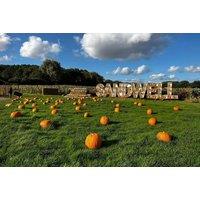 All-Day Access To Forge Mill Farm - Sandwell Valley Country Park - Family Option Upgrade
