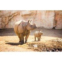 4* Benidorm Beach Holiday: Bed & Breakfast, Flights & Terra Natura & Aqua Natura Tickets Included