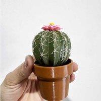 Ceramic Cactus Seasoning Bottle - Decorative Salt & Pepper Shaker