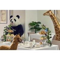 Big Bus 24-Hour Hop On Hop Off Bus Tour of London & Animal Kingdom Afternoon Tea - Child or Adult Options