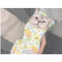 Self-Adherent Anti-Escape Cat Grooming Swaddle Wrap - High-Tech, Calming, Easy Nail Trimming